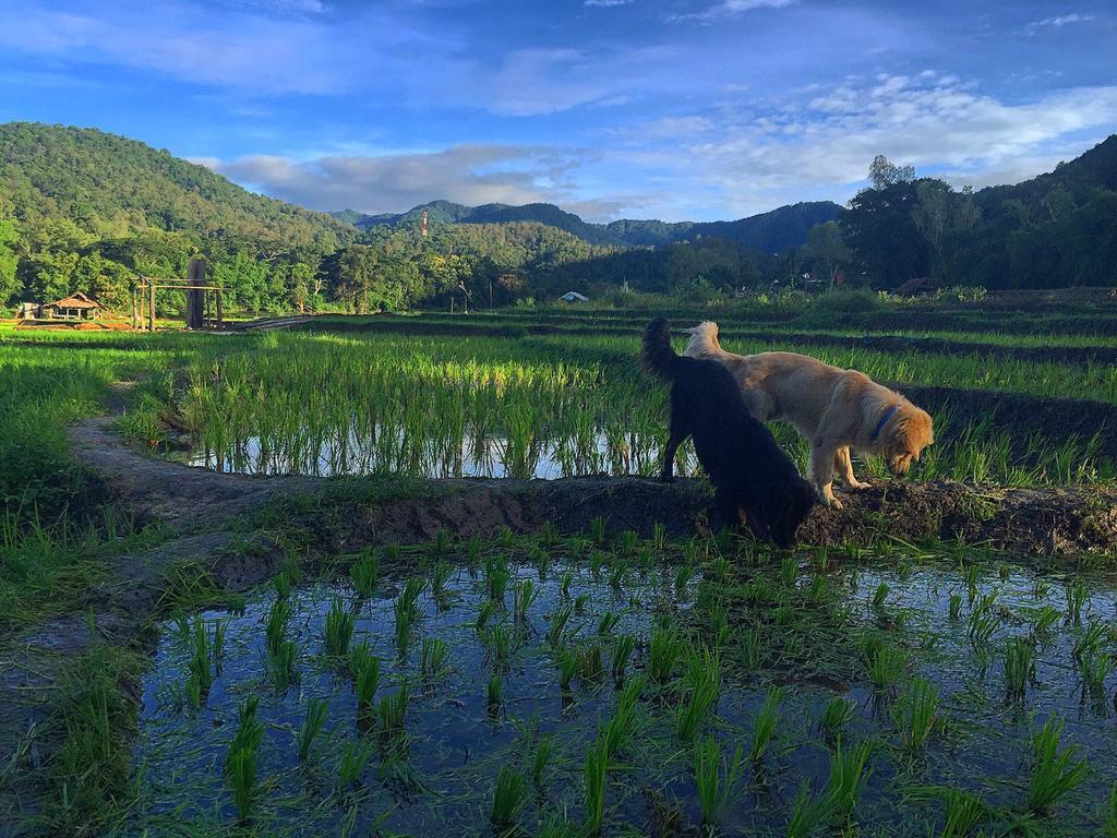 Bulunburi Resort Chiang Mai Exterior photo