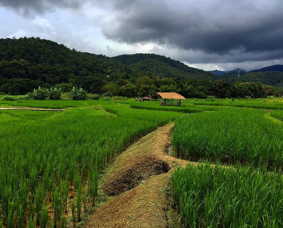 Bulunburi Resort Chiang Mai Exterior photo